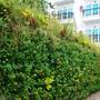 Горящие туры в отель Ngoc Chau Phu Quoc Hotel - 2