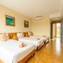 Горящие туры в отель Golden Daisy Hotel - 1