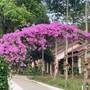 Горящие туры в отель The Garden House Resort Phu Quoc - 5