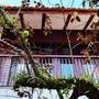 Горящие туры в отель Hoi An Phu Quoc Resort - 6
