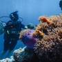 Горящие туры в отель Furaveri Maldives - 5