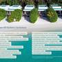 Горящие туры в отель Niva Dhigali Maldives - 1