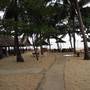 Горящие туры в отель Nhat Lan Resort - 2