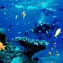 Горящие туры в отель The Saigon Phu Quoc Resort - 2