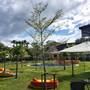 Горящие туры в отель Jazz U Garden Resort - 3