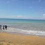 Горящие туры в отель Serendiva Beach - 6