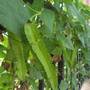 Горящие туры в отель My Place Guest House - 2