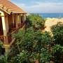 Горящие туры в отель Free Beach Resort - 6