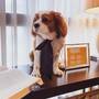 Горящие туры в отель Brown Beach House by Brown Hotels - 6