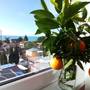 Горящие туры в отель Anna-Saria Guest House - 6