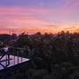 Горящие туры в отель Element by Westin Bali Ubud - 1