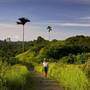 Горящие туры в отель Element by Westin Bali Ubud - 3