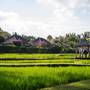 Горящие туры в отель Visesa Desa Ubud - 6
