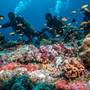 Горящие туры в отель Robinson Club Noonu - 4