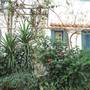 Горящие туры в отель Apartments Villa Contessa - 4