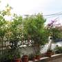 Горящие туры в отель Apartments Villa Contessa - 3