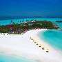 Горящие туры в отель Dhigufaru Island Resort - 5