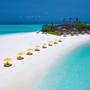 Горящие туры в отель Dhigufaru Island Resort - 4