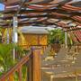 Горящие туры в отель Sercotel Club Cayo Guillermo - 6
