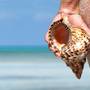 Горящие туры в отель Sercotel Club Cayo Guillermo - 1