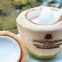 Горящие туры в отель DoubleTree Resort by Hilton Hotel Hainan - Qixianling Hot Spring - 3