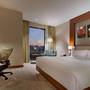Горящие туры в отель Hilton Garden Inn Istanbul Beylikduzu - 3