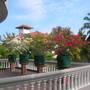 Горящие туры в отель Sagarika Beach Hotel - 6
