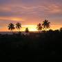 Горящие туры в отель Sagarika Beach Hotel - 5