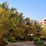 Горящие туры в отель Salalah Gardens Hotel - 6