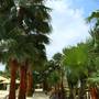 Горящие туры в отель The Ksar Djerba Charming Hotel & SPA - 6