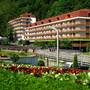 Горящие туры в отель Sairme Hotels & Resorts - 1