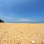 Горящие туры в отель White Rose Beach Resort - 2