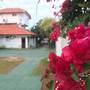 Горящие туры в отель White Rose Beach Resort - 5