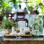 Горящие туры в отель Vinh Hung Riverside Resort & Spa - 5