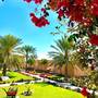 Горящие туры в отель The View, Hail Al Shas /Al Hamra - 4