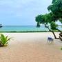 Горящие туры в отель Medina Palms, Watamu - 5