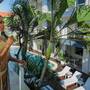 Горящие туры в отель Coast Boutique Apartments - 5
