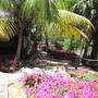 Горящие туры в отель Angel's Bay Beach Resort - 6