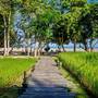 Горящие туры в отель Koh Yao Yai Village - 4