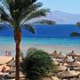 Горящие туры в отель Baron Palms Resort - 2