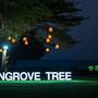 Горящие туры в отель Yalong Bay Mangrove Tree Resort - 6