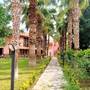 Горящие туры в отель Hotel Palme Dalyan - 4