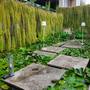 Горящие туры в отель Sea Two Pool Villa Resort Pattaya - 2