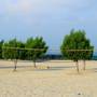 Горящие туры в отель Golden Beach Motel - 3