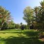 Горящие туры в отель Villa Al Assala Palmeraie - 5