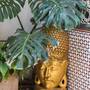 Горящие туры в отель Riad Villa Harmonie - 1