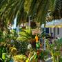 Горящие туры в отель Galini Holidays - 3
