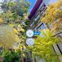 Горящие туры в отель Ideo Phuket Hotel - 6