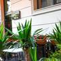 Горящие туры в отель Almina Inn Beyazit - 6
