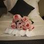 Горящие туры в отель Anka Premium Hotel - 4